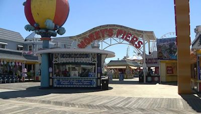 Seagull decapitated at Morey's Pier as man arrested for animal cruelty: police