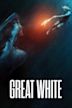 Great White