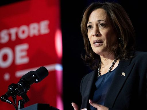 Kamala Harris' camp is mad that Newsom and Whitmer are being floated as Biden replacements over the VP