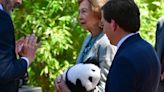 Doña Sofía preside la presentación oficial de los nuevos pandas del Zoo de Madrid - MarcaTV