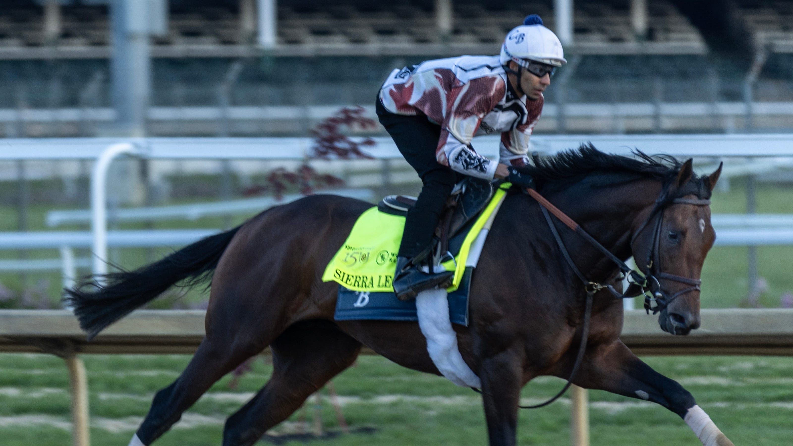 Sierra Leone jockey, trainer, odds and more to know about Kentucky Derby 2024 horse