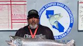 Lots of winners at the 74th annual Rio Vista Bass Derby