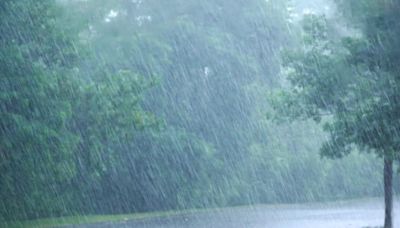 一週天氣／要下雨了...梅雨「滯留鋒」下週二報到 雷雨掃全台要到「這天」才趨緩