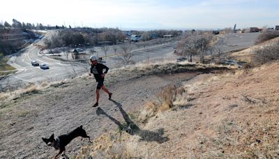 What to do if your canine running companion chases wildlife