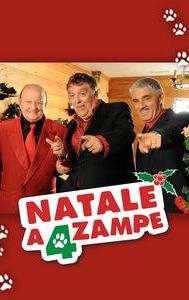 Natale a 4 zampe