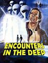 Encounters in the Deep