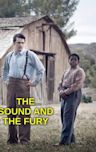 The Sound and the Fury (2014 film)