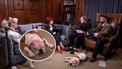 The Osbournes Adopt Rescue Dog That Was Brutally Set on Fire