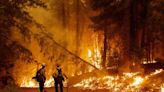 Agricultura refuerza acciones contra incendios forestales