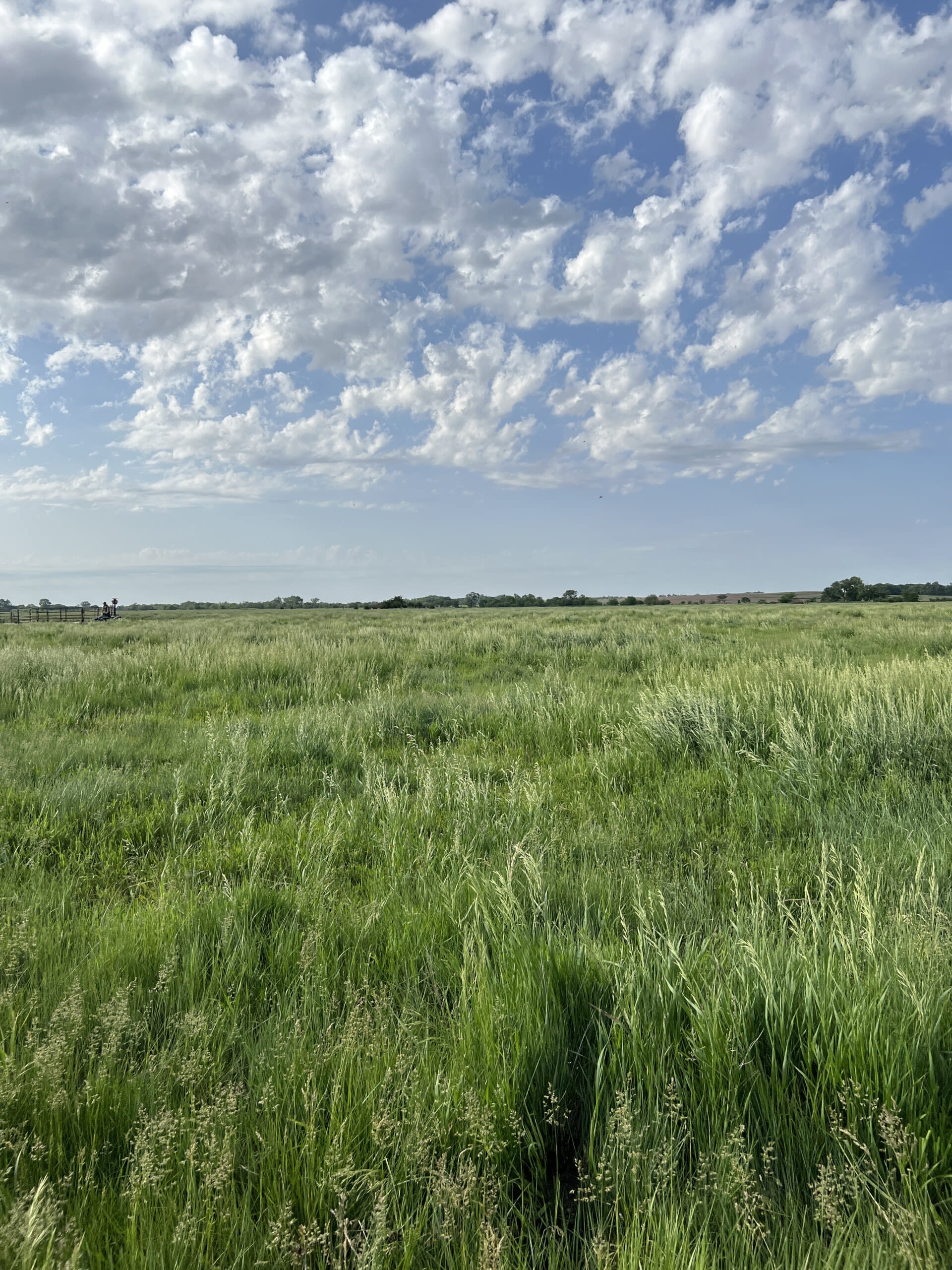 Drought improving but still hanging around southeast Nebraska