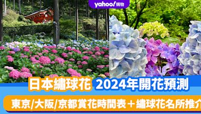 日本繡球花2024｜繡球花開花預測！一文睇清東京/大阪/京都賞花時間表＋繡球花名所推介＋最新開花狀況