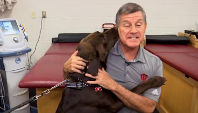 IU athletic trainer helps keep bomb-sniffing K-9 in top shape