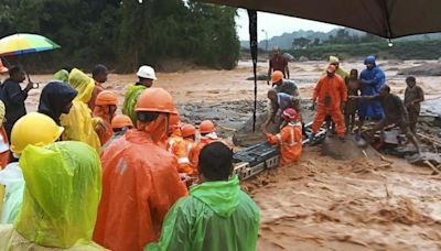'Avoid unnecessary travel to Wayanad': Kerala CM as Rahul, Priyanka plan visit after landslides kill 98