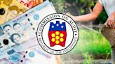 COA flags Nabcor's unfinished liquidation a decade since abolition