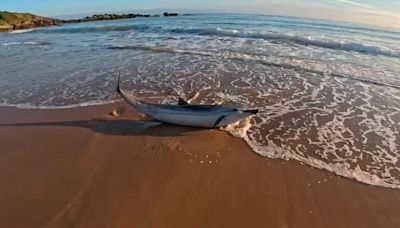 Un surfero rescata a una madre y una cría de delfín que estaban varados en el Arenal de Morís