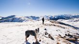 How to protect your dog’s paws on winter hikes