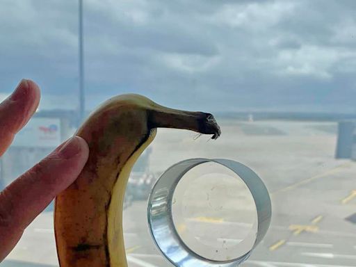 People discover what holes in airport windows are for – with banana for scale