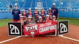 Sandlot Legends move up, win tournament title - The Vicksburg Post