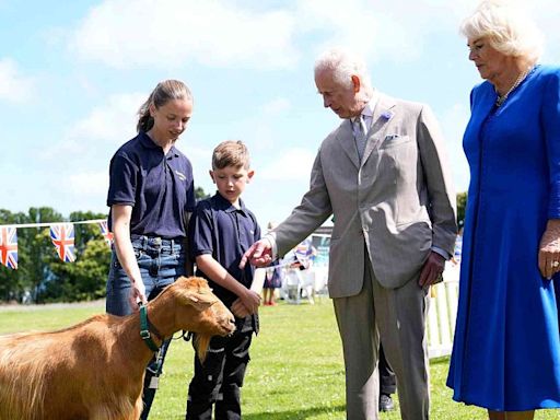 El rey Carlos III otorga un título real a unas cabras en peligro de extinción