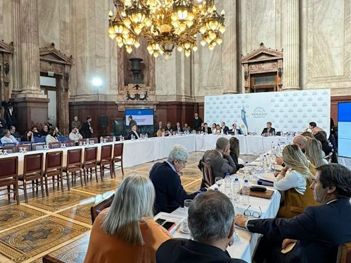 La Ley Bases ahora depende de siete senadores y Milei apura reuniones con gobernadores y referentes del PRO