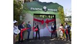 Giant Pandas Make Public Debut During Historic Day at San Diego Zoo