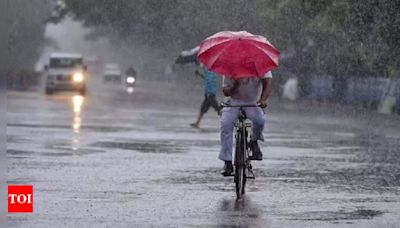 Heavy rains continue in Kerala, IMD issues red alert in two districts | Kozhikode News - Times of India