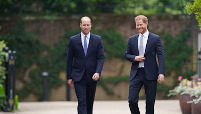 Prince Harry and Prince William Set to Come Face to Face at Family Funeral for Lord Robert Fellowes