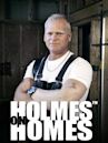 Holmes on Homes