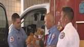 NFPA donates 500 ‘comfort’ teddy bears to Orange, Seminole County fire departments