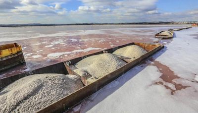 Terremoto de 2,2 grados con epicentro en el corazón de la laguna rosa de Torrevieja