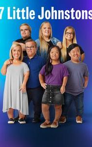 7 Little Johnstons