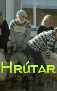 Hrútar