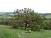 Santa Rosa Plateau