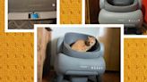 This UFO-Looking Litter Box Cleans Itself—and Your Cat Will Probably Love It Too