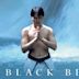 Black Belt (2007 film)