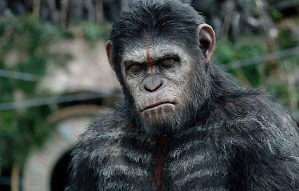 How to Watch the Planet of the Apes Movies in Order