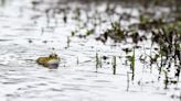 Indian River County updates: Tropical Storm Ian impacts Thursday in Vero Beach, Sebastian