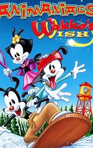 Wakko's Wish