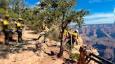 Tragedia en Arizona: un hombre murió tras intentar un salto ilegal en el Gran Cañón