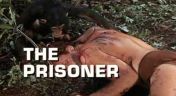 5. The Prisoner