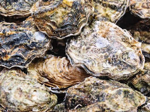 California health officials issue warning about raw oysters from Korea over norovirus