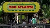 Zoo Atlanta reopens Saturday, though some concessions restricted