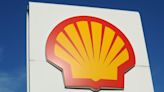 Shell pauses construction on major biofuels plant in Netherlands