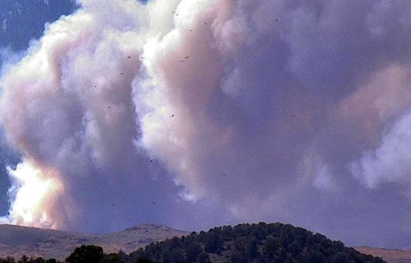 Brush fire by Davis Creek Regional Park; I-580 closed in Washoe Valley