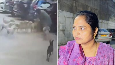 WATCH: Narrow Escape For Hyderabad Woman After Stray Dogs Besiege Her During Morning Walk; Husband Shares Chilling Video