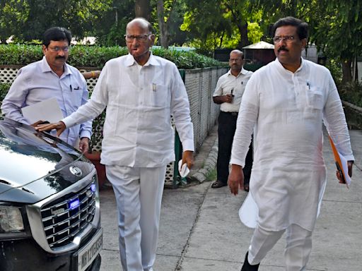 MVA partners to jointly contest Maha polls, seat-sharing talks soon: Pawar