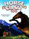 Horse Crazy 2: The Legend of Grizzly Mountain