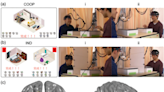 研究發現，與另一個人一起完成一項任務會改變你的大腦活動