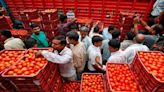 Household budget goes for a toss as tomatoes cost Rs 90/kg