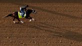 Fans unable to wager on the Kentucky Derby at racetracks in New Mexico. Here's why.